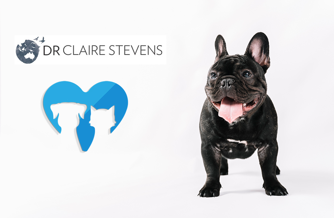 Probiotics for Dogs: What are they, and are they Effective?