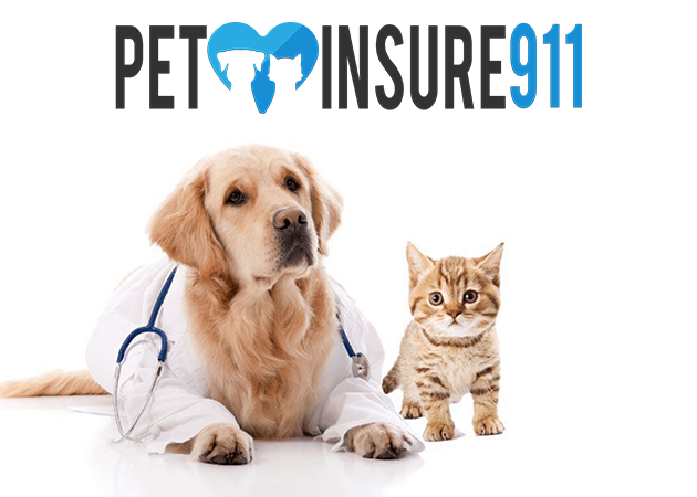 About PetInsure 911 About PetInsure 911